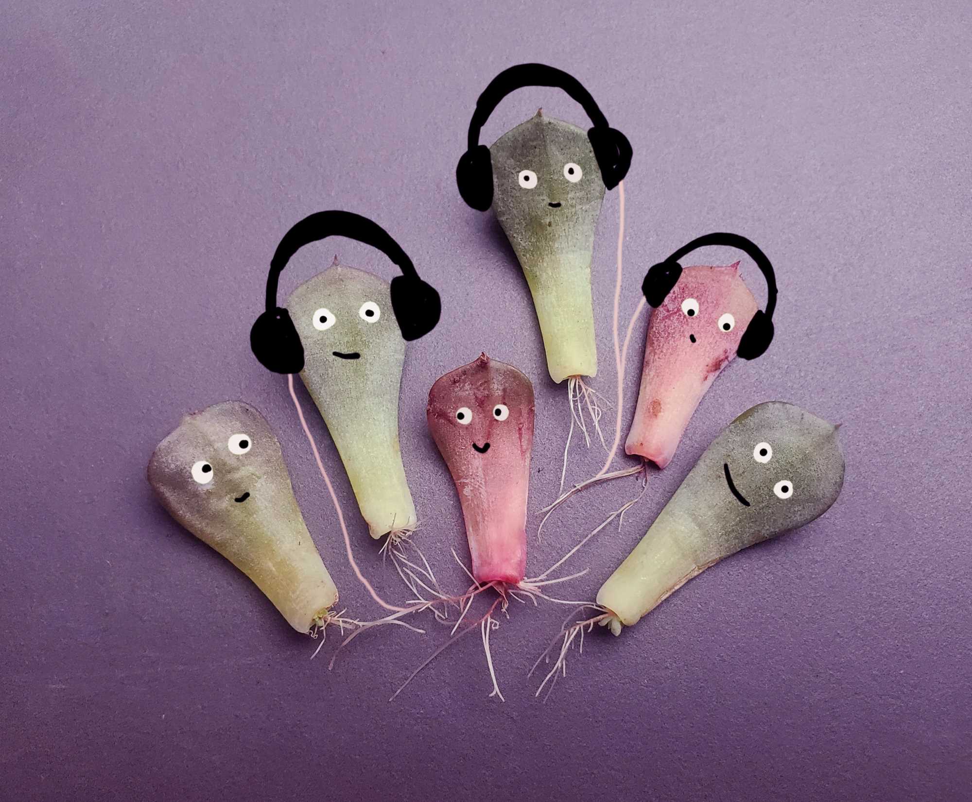 © Maude Lançon – Un projet qui relie les personnes croisées grâce à des capsules sonores réconfortantes