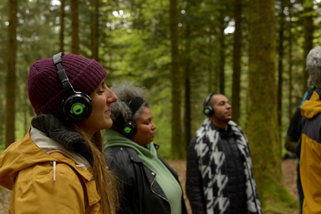 Abats les murs – et pas les arbres !